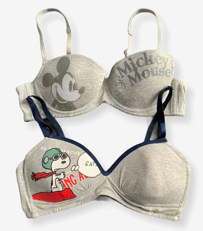 Imported Stocklot Branded Net Pushup Bra - Cotton Pushup Bra - Underwired Bra - Non Padded Bra - Pack of 2